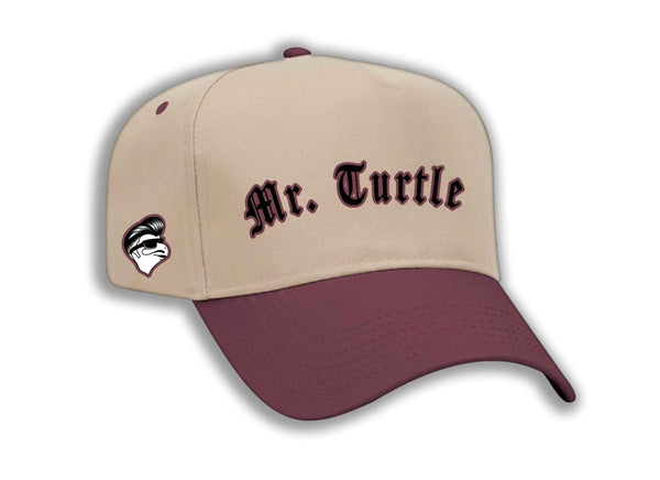 Mr. Turtle Snapback